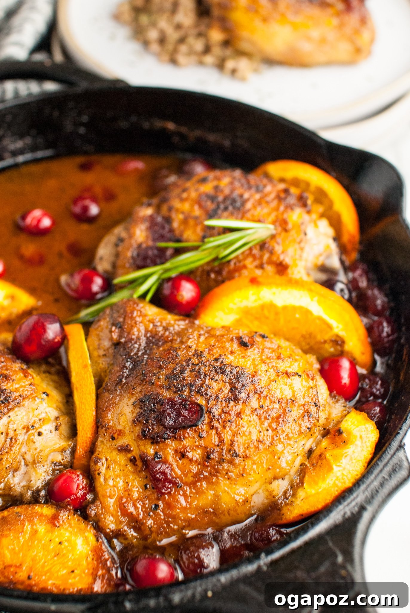 Effortless Cranberry Glazed Chicken Thighs 4 Easy Baked Chicken Thighs in a cast iron skillet, ready for the oven.