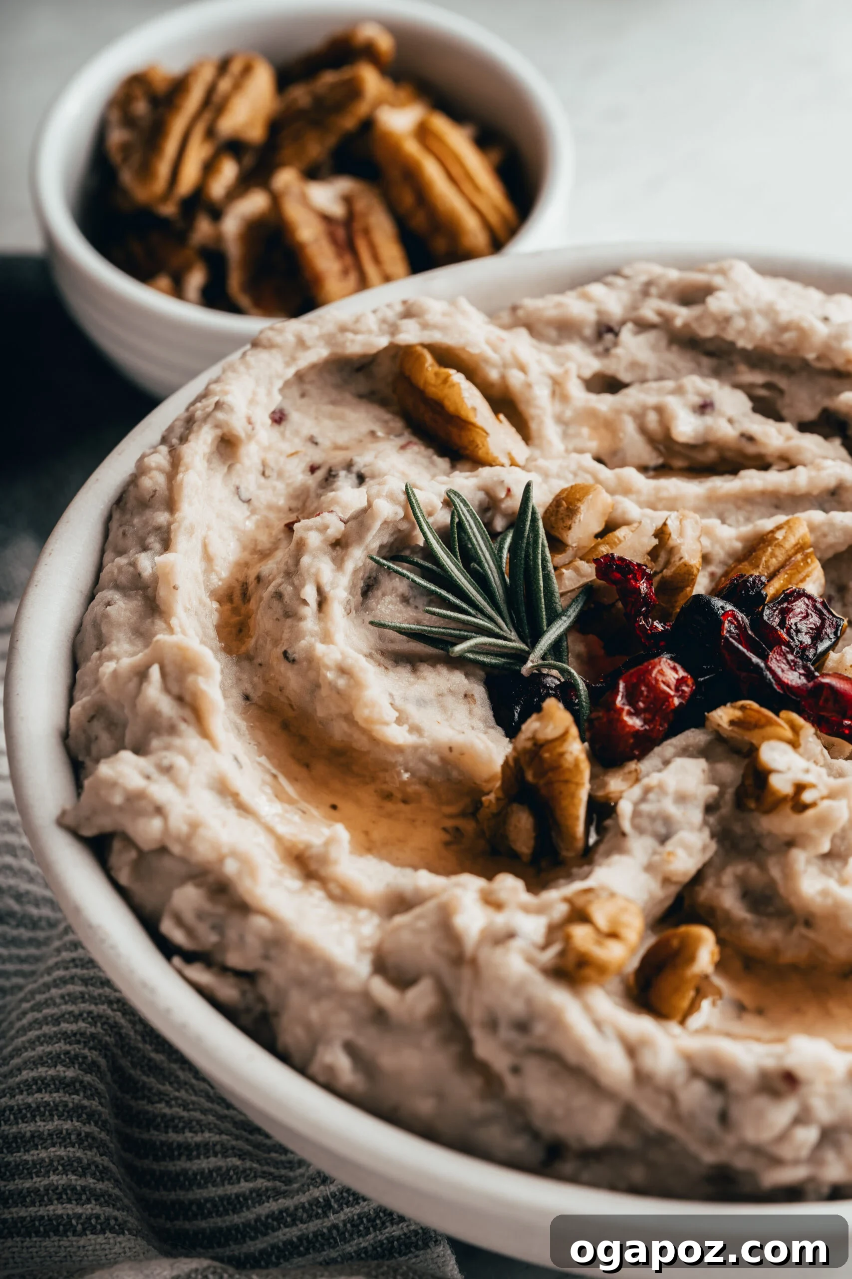 Tangy Cranberry White Bean Hummus 2 Creamy White Bean Hummus with Cranberry, garnished with fresh pecans and rosemary.