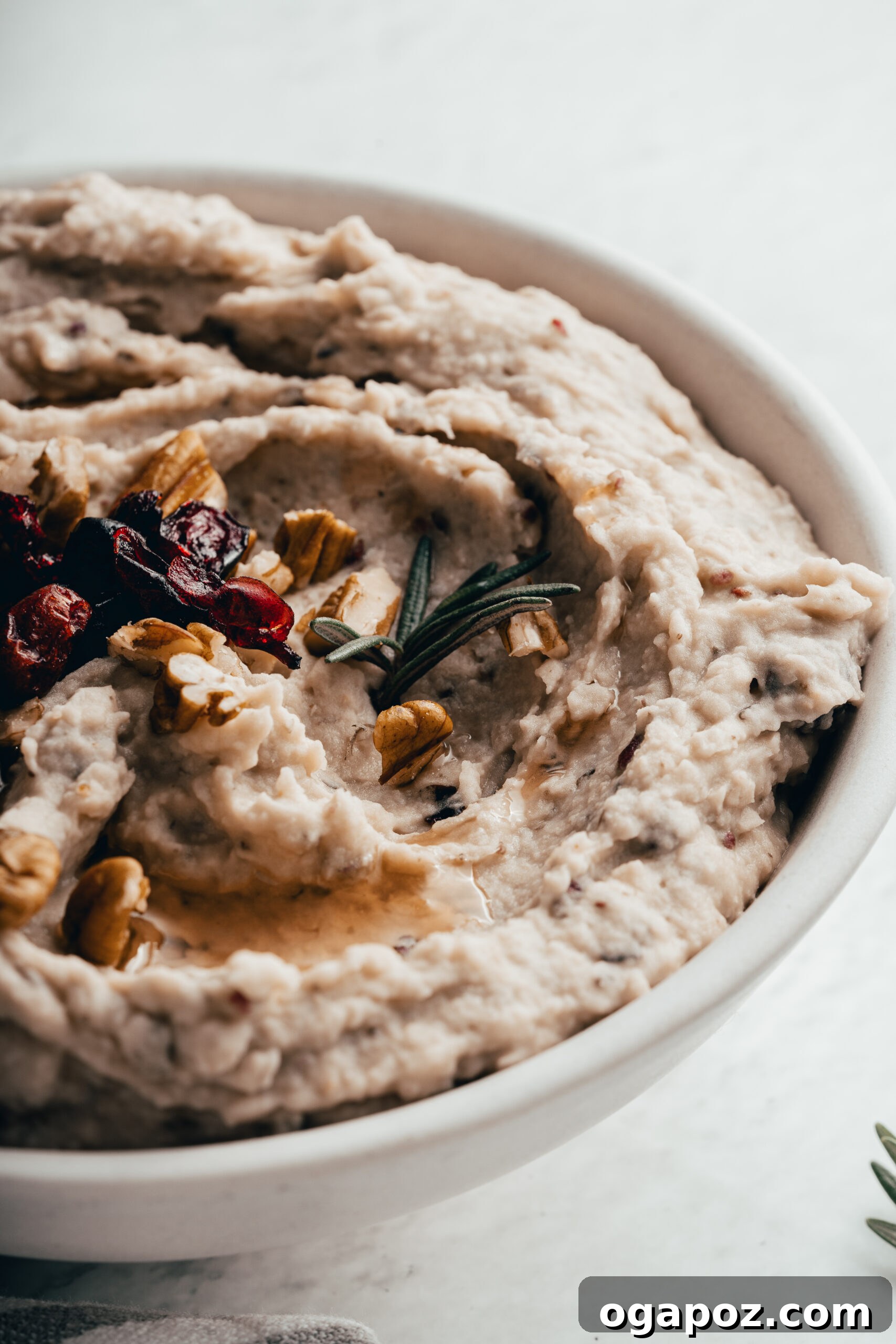 Tangy Cranberry White Bean Hummus 10 Close-up of White Bean Hummus with Cranberry, adorned with rosemary and cranberries.
