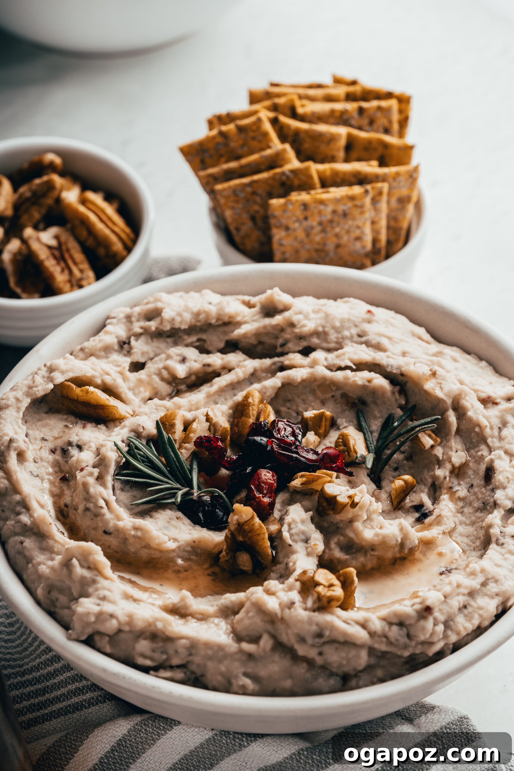 Tangy Cranberry White Bean Hummus 4 White Bean Hummus with Cranberry in a pristine white bowl, ready for serving.