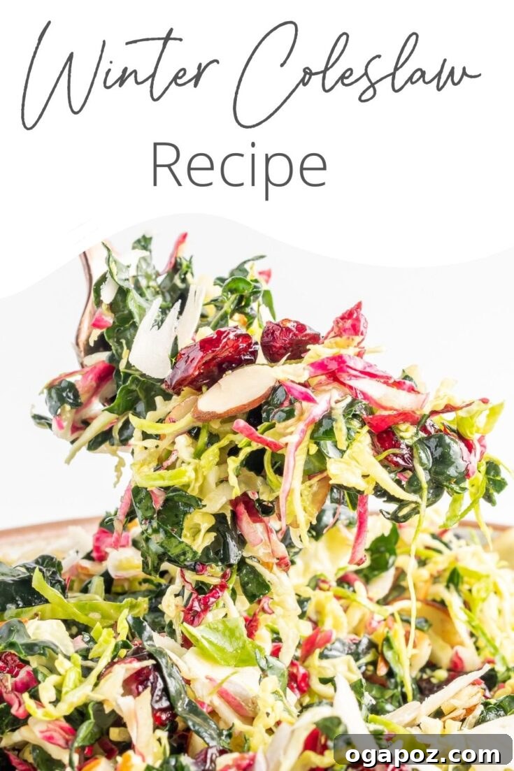 Winter Coleslaw Salad