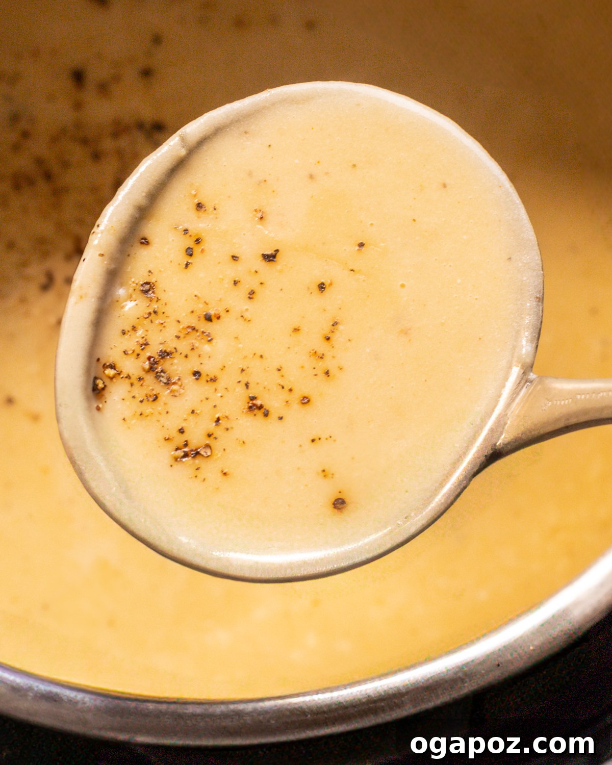Effortless and Delicious Instant Pot Potato Soup 10 Close-up of potato soup topped with cheese and green onions