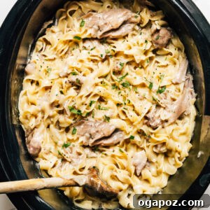 Crockpot Chicken and Noodles with a spoon, showing creamy noodles and tender chicken.
