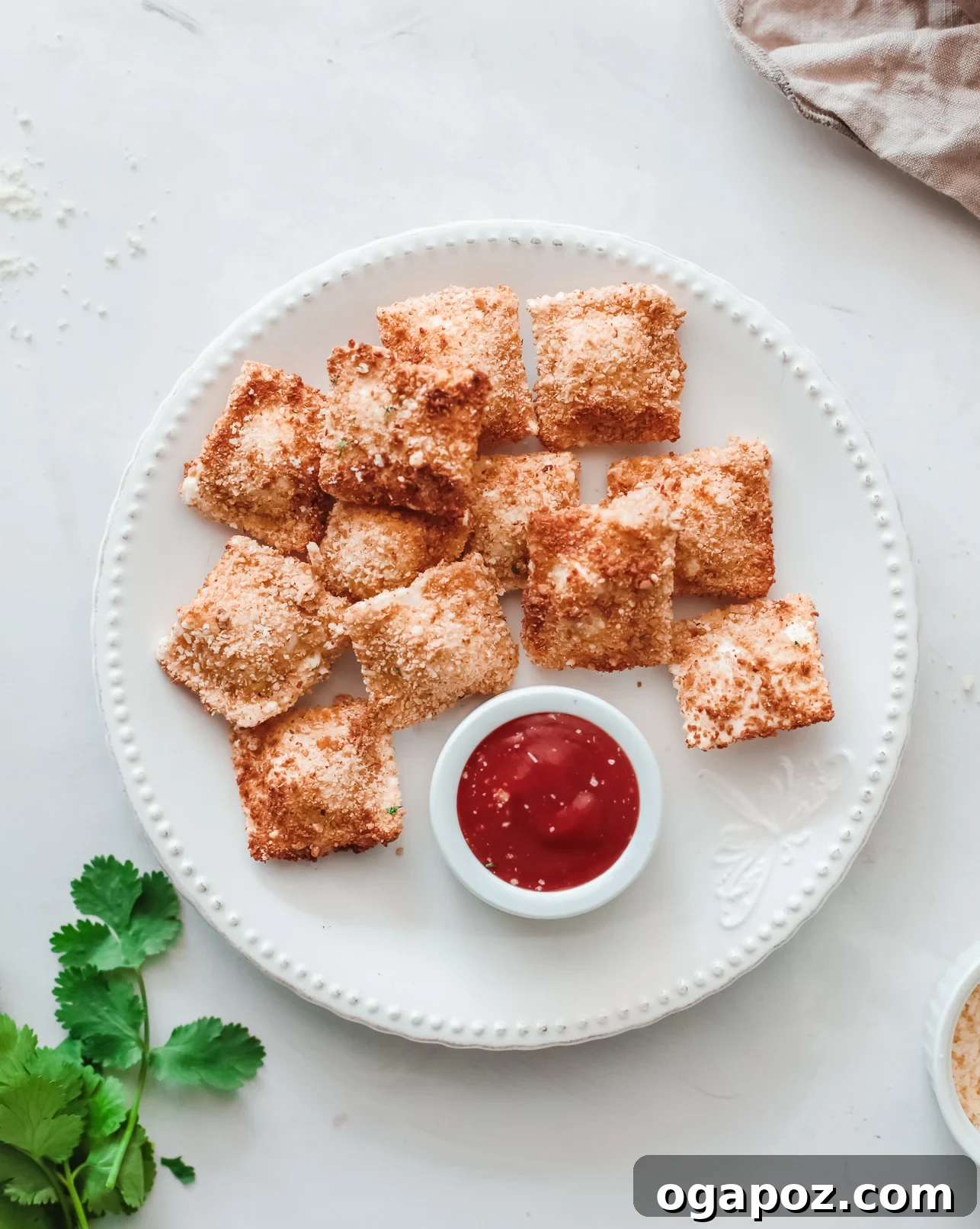 Crispy Air-Fried Ravioli Bites 2 Crispy Air Fried Ravioli served on a white plate with fresh herbs.