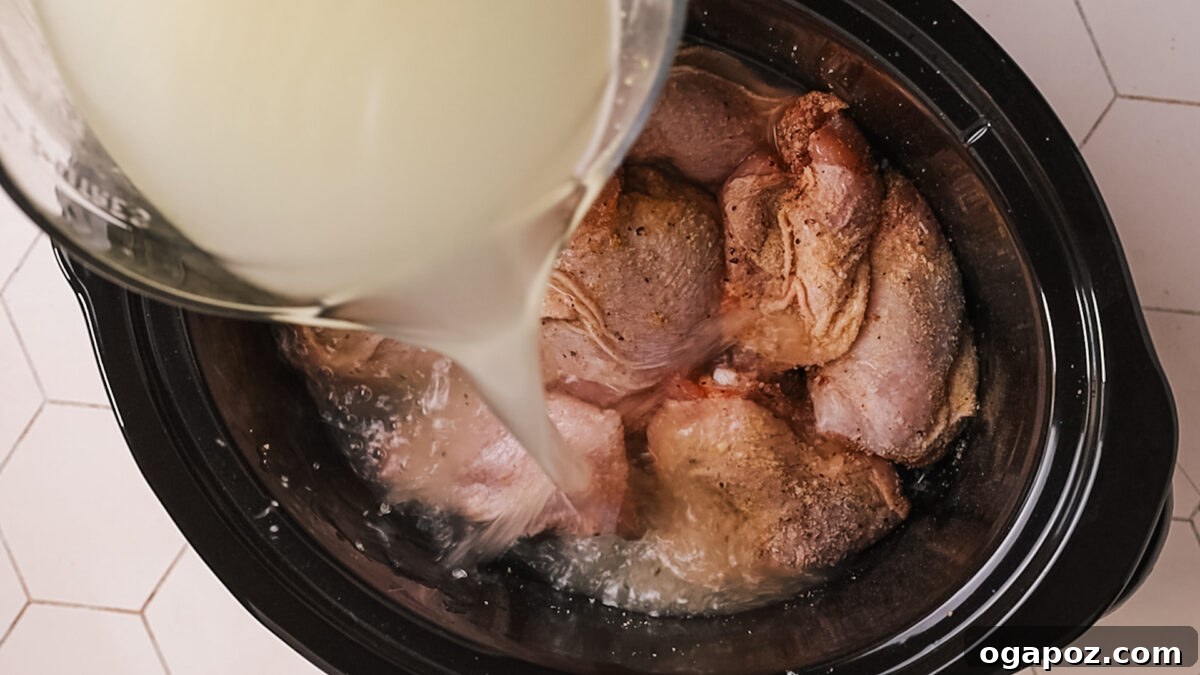Homestyle Slow Cooker Chicken and Noodles 6 Pouring chicken broth over seasoned chicken in a crockpot.