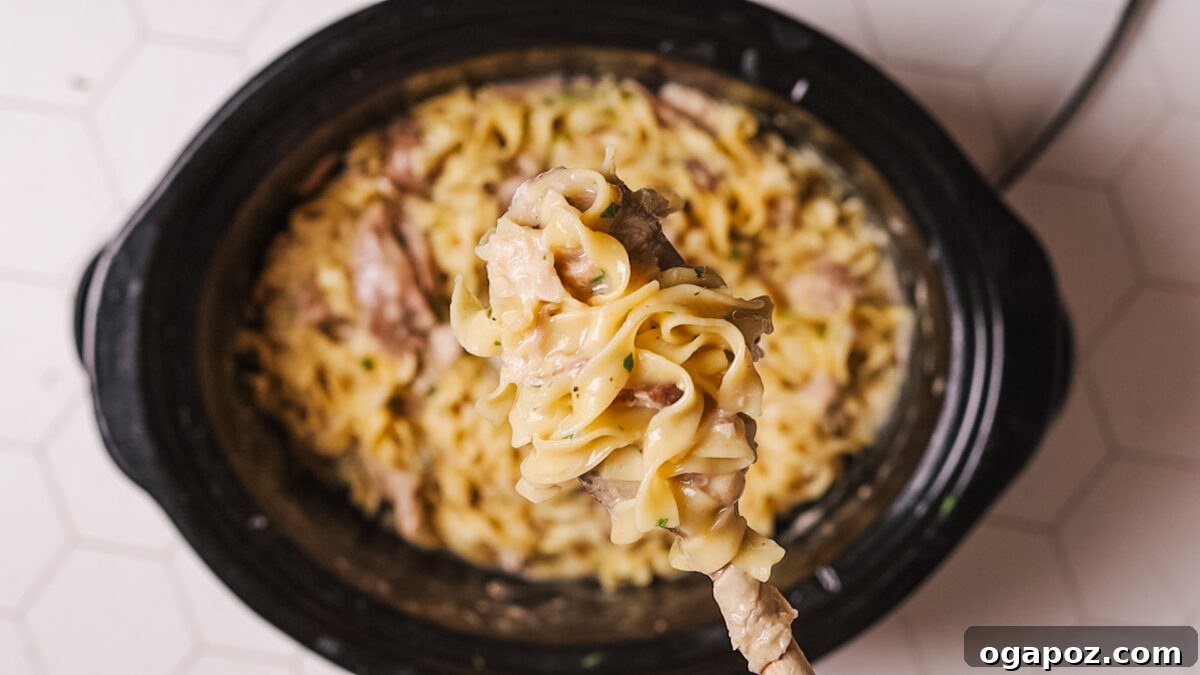 Homestyle Slow Cooker Chicken and Noodles 9 Uncooked egg noodles ready to be added to the crockpot.