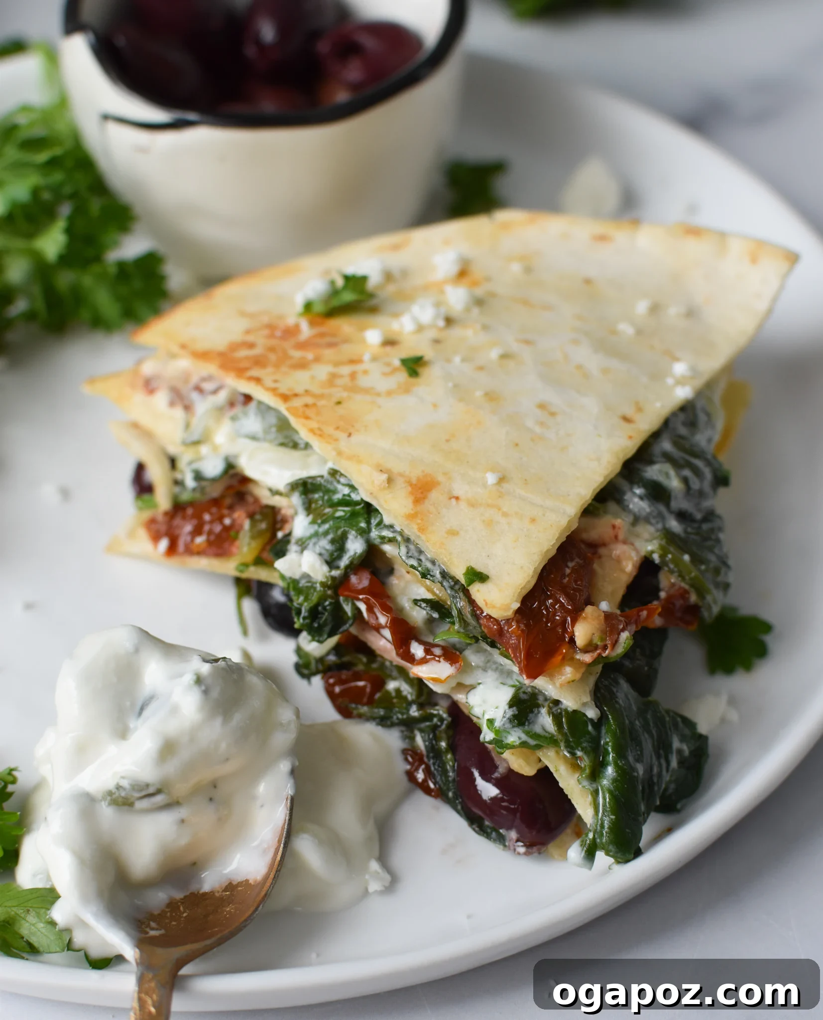 Easy Vegetarian Quesadilla Recipe with tzatziki sauce served on a white plate