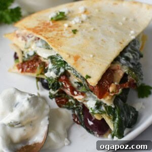 Easy Vegetarian Quesadilla Recipe