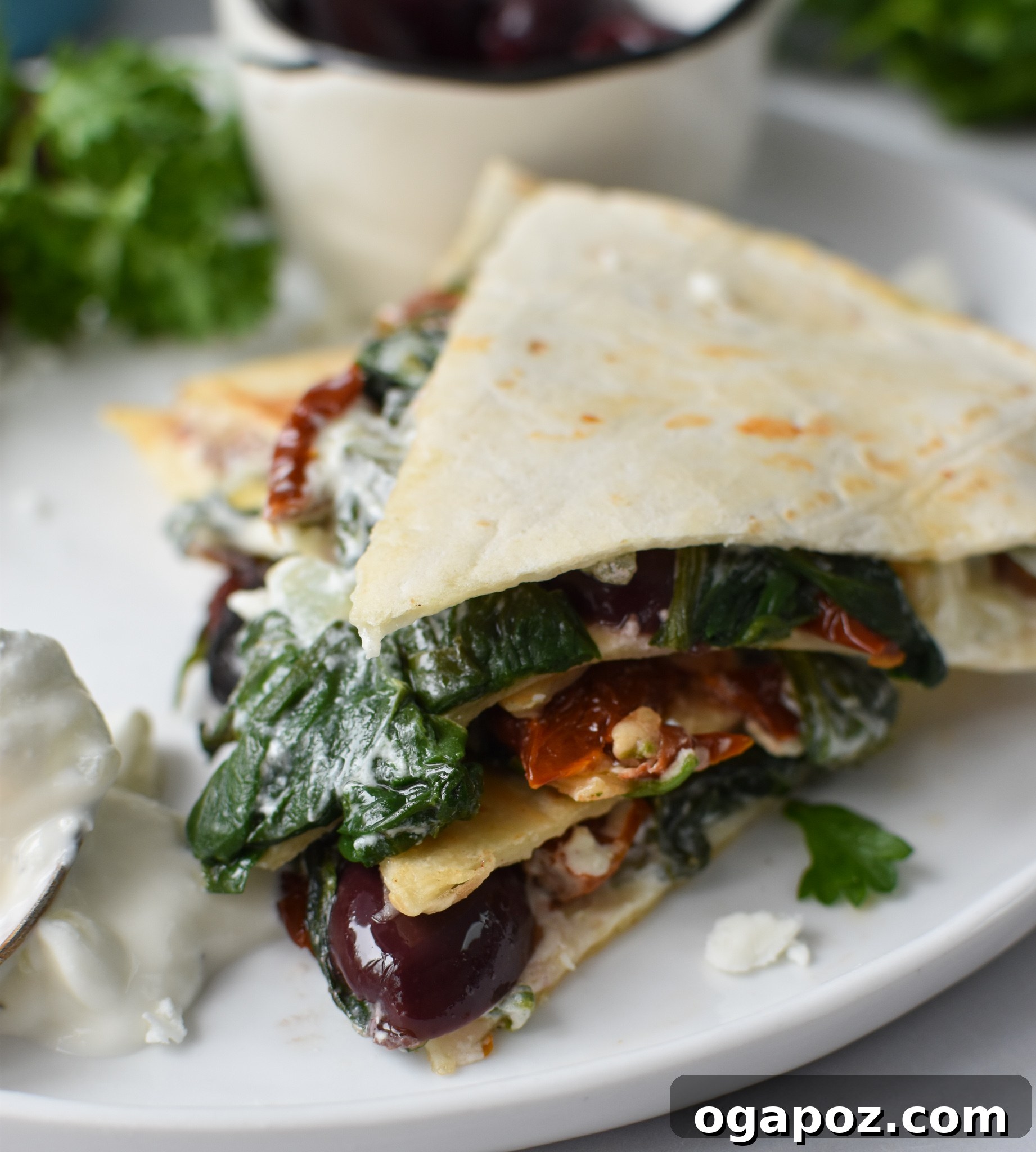 Easy Vegetarian Quesadilla Recipe served on a white plate, sliced and garnished