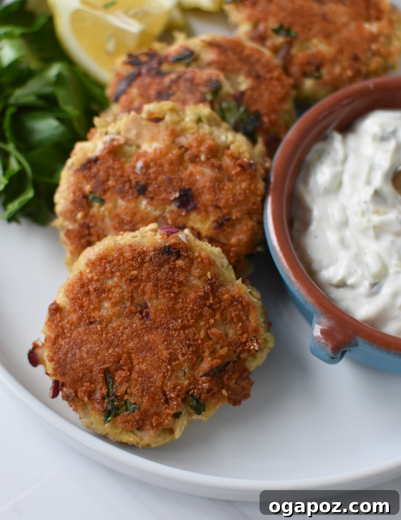 Zesty Mediterranean Tuna Fritters 4 Mediterranean Tuna Patties served with a dollop of tzatziki sauce.