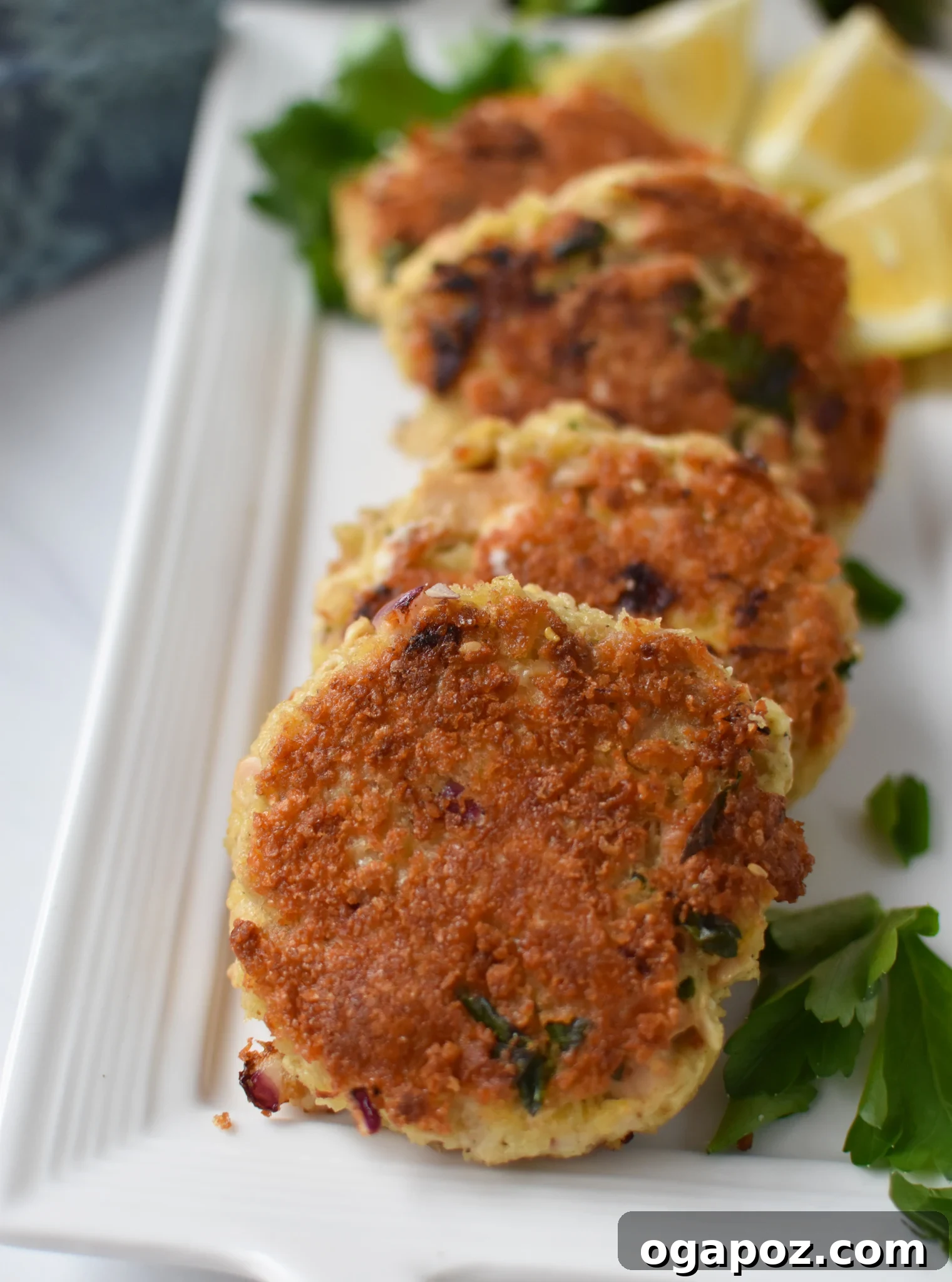 Zesty Mediterranean Tuna Fritters 10 Mediterranean Tuna Patties Recipe on a white plate with tzatziki.