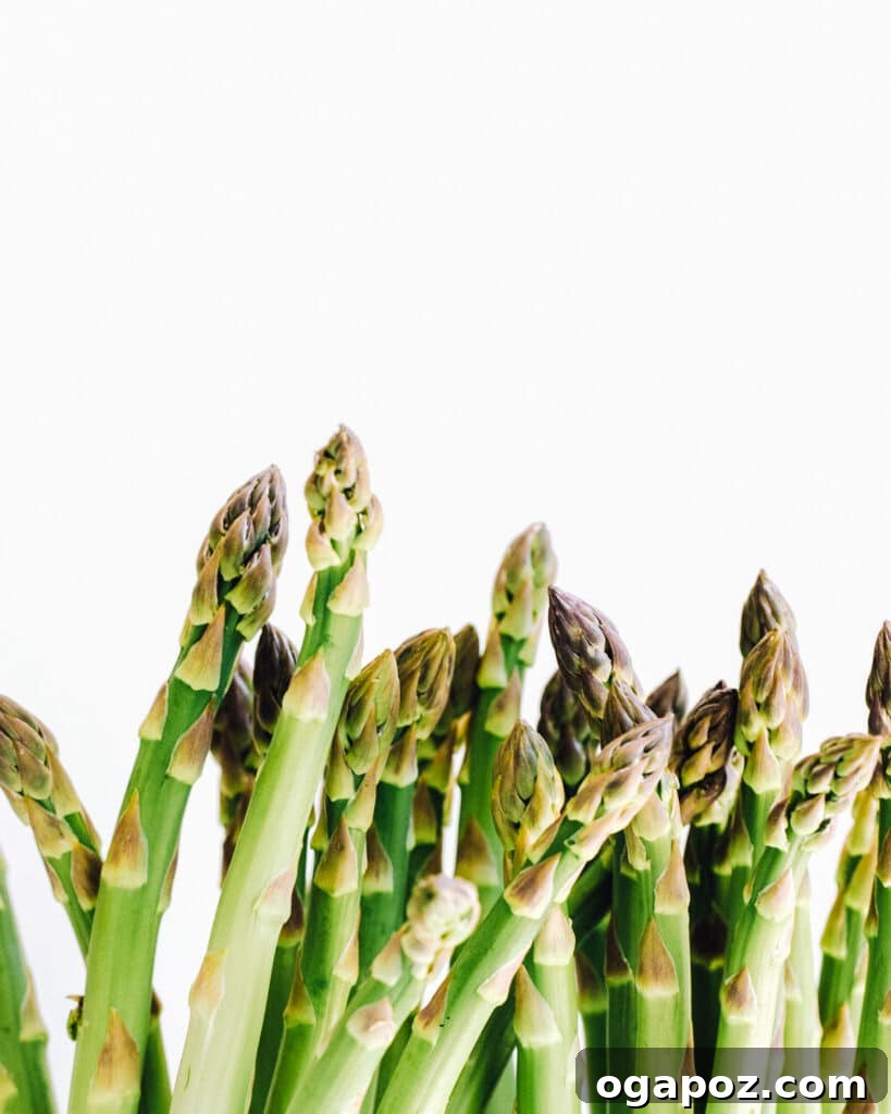 Elevate Your Easter Feast 32 How to Cook Asparagus in a Pan