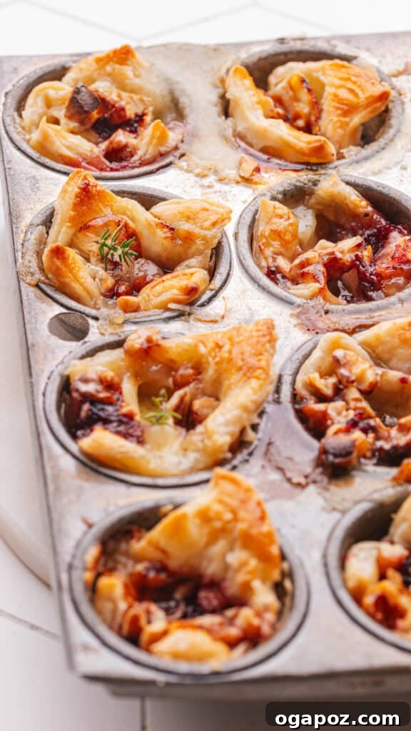 Elevate Your Easter Feast 5 Christmas appetizers (easy brie bites recipe)