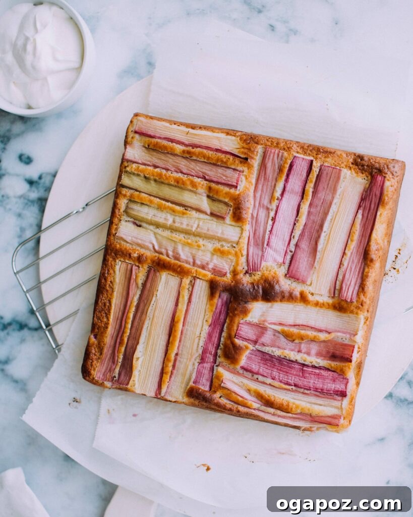 Elevate Your Easter Feast 42 Ginger Rhubarb Cake
