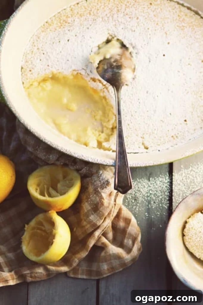 Elevate Your Easter Feast 52 This easy, made from scratch, light and fluffy Lemon Pudding Cake is better than any lemon cake that comes from a box! Get your hands on this amazing delicious dessert recipe right now!