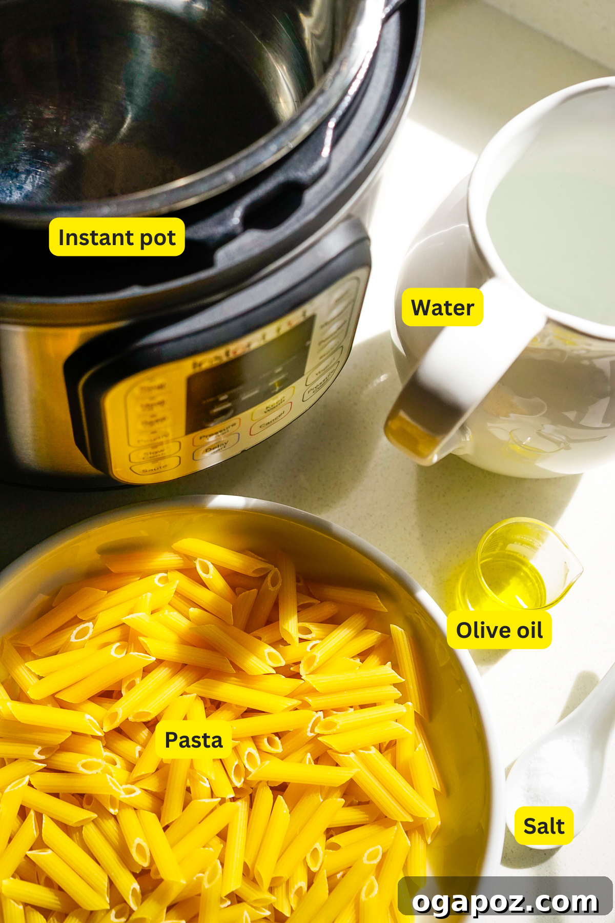 Instant Pot Pasta Ingredients