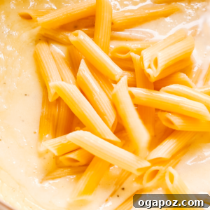 Instant Pot Pasta