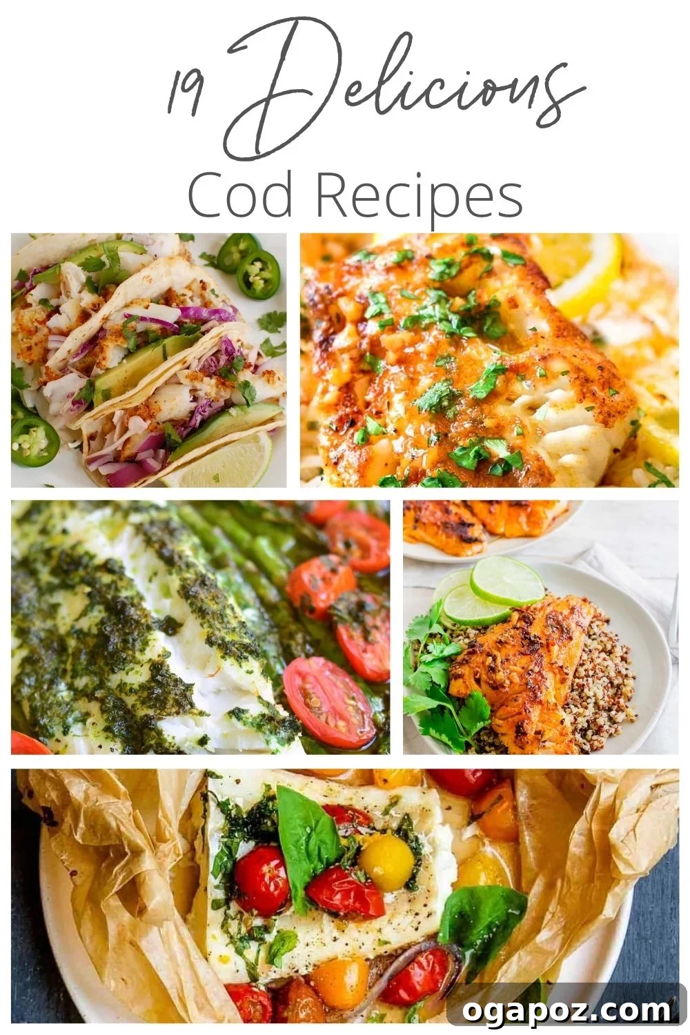 19 Mouthwatering Cod Masterpieces 2 A beautifully presented, flaky cod dish surrounded by fresh ingredients