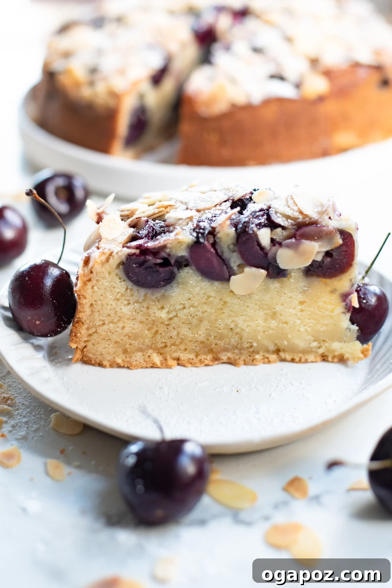 Decadent Cherry Almond Cake 6 A slice of Cherry Almond Cake with a dusting of powdered sugar, served on a plate.