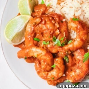 Easy Shrimp Curry Recipe