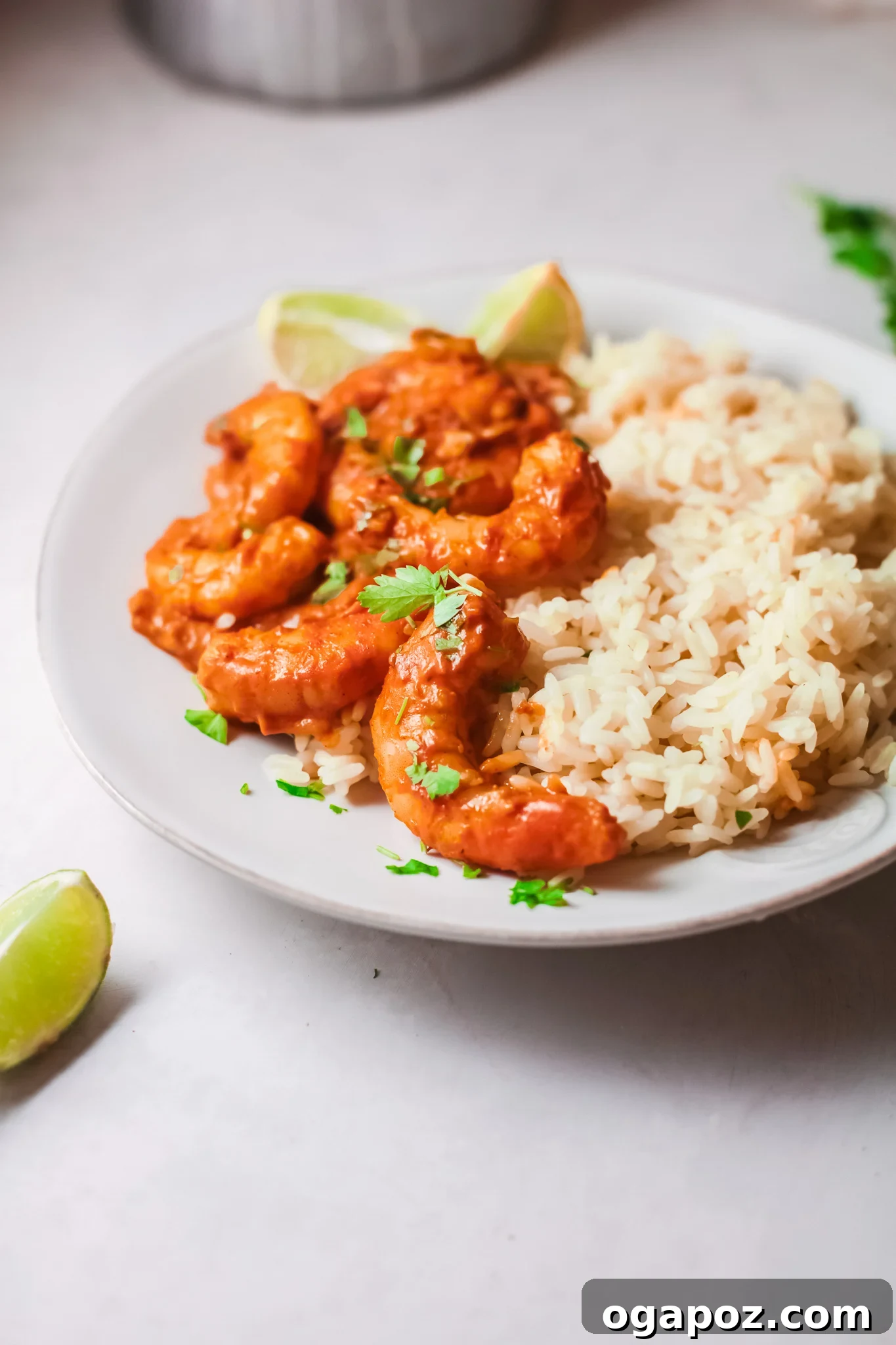 Effortless Shrimp Curry 4 Easy Shrimp Curry Recipe garnished with fresh cilantro in a bowl
