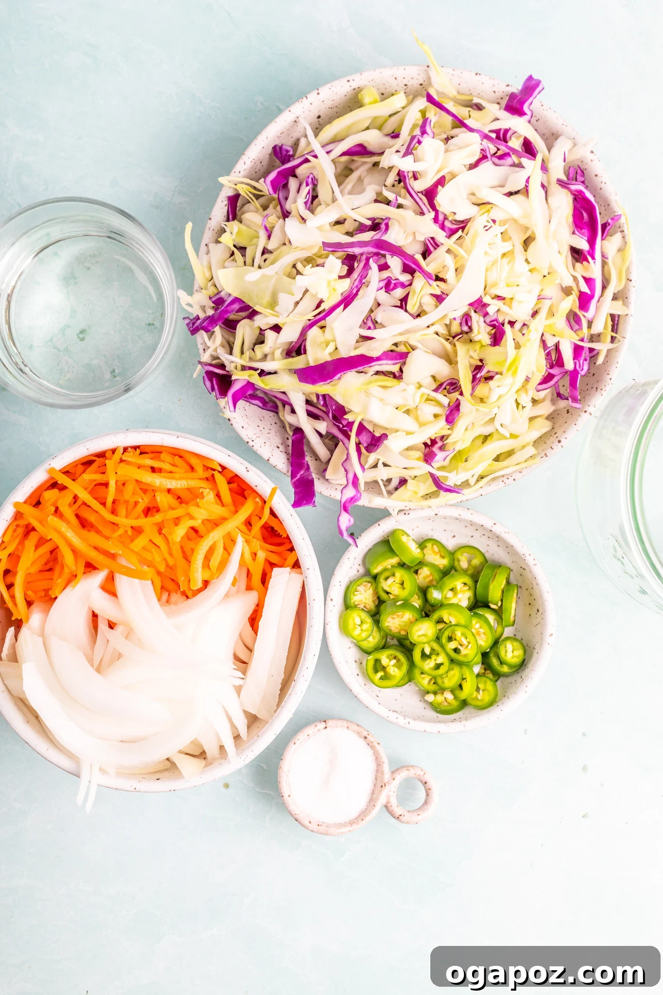 Effortless Salvadoran Curtido 3 Easy Curtido Recipe ingredients.