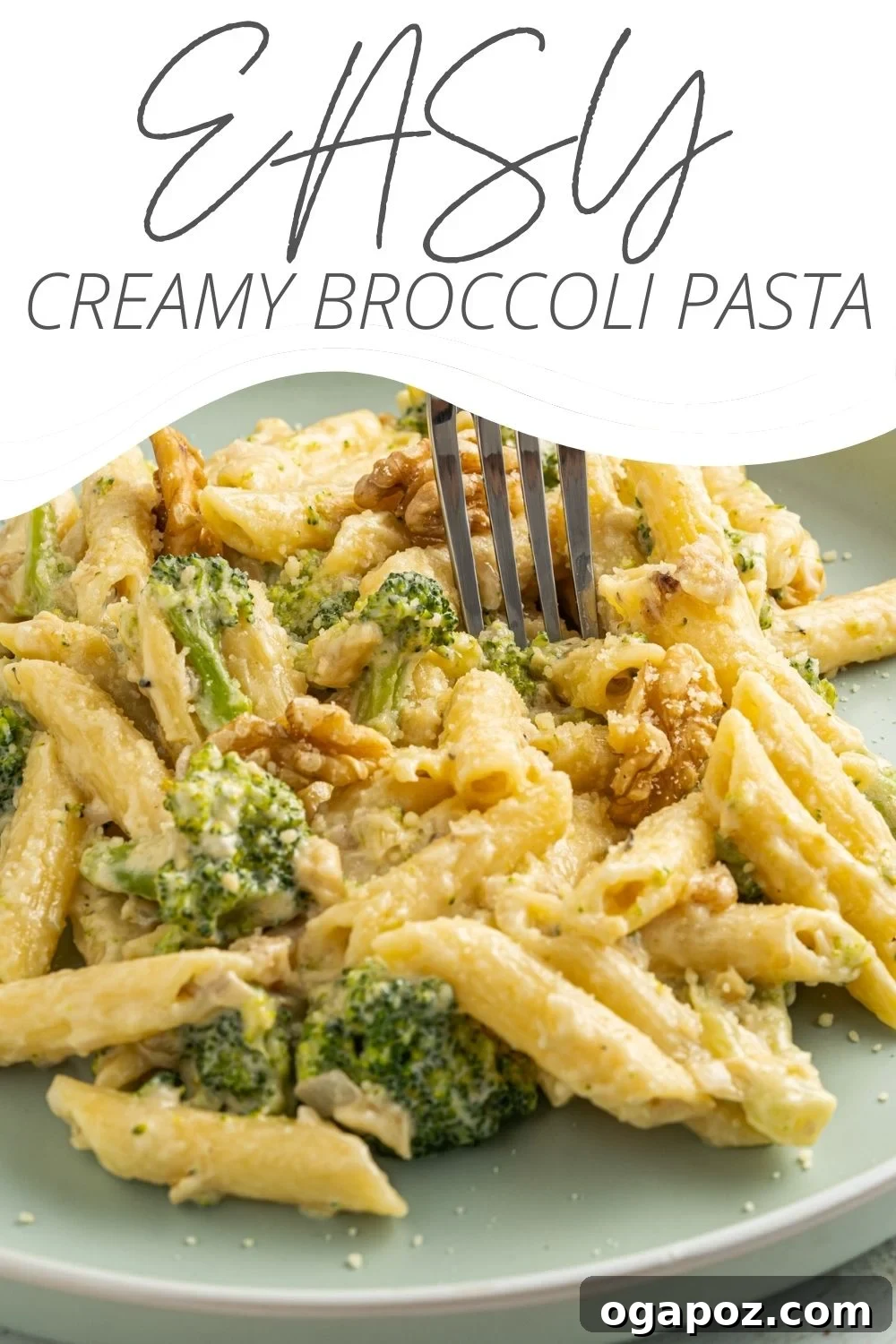 Velvety Creamy Broccoli Pasta 9 Creamy Broccoli Pasta Recipe with A Cedar Spoon logo.