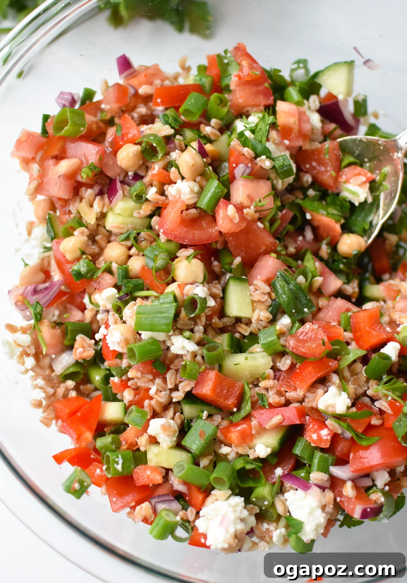 Siyezli Akdeniz Salatası 2 Vibrant Mediterranean Farro Salad in a clear glass bowl, showcasing fresh ingredients.