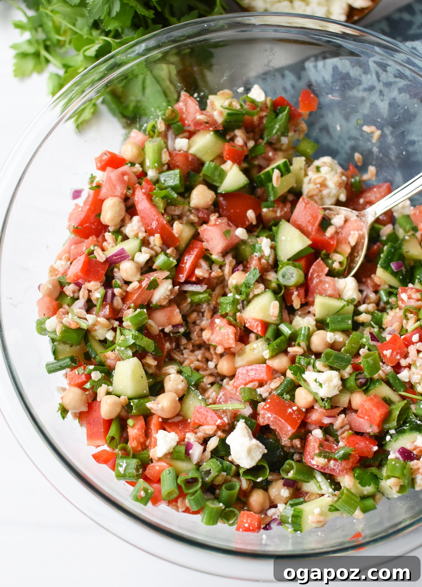Siyezli Akdeniz Salatası 5 Mediterranean Farro Salad displayed in a clear bowl, highlighting its fresh appeal.