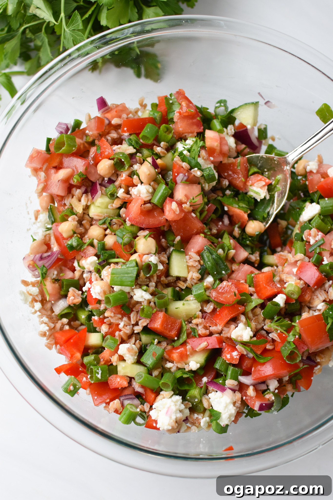 Siyezli Akdeniz Salatası 6 Mediterranean Farro Salad in a bowl with a serving spoon, showcasing its vibrant ingredients.