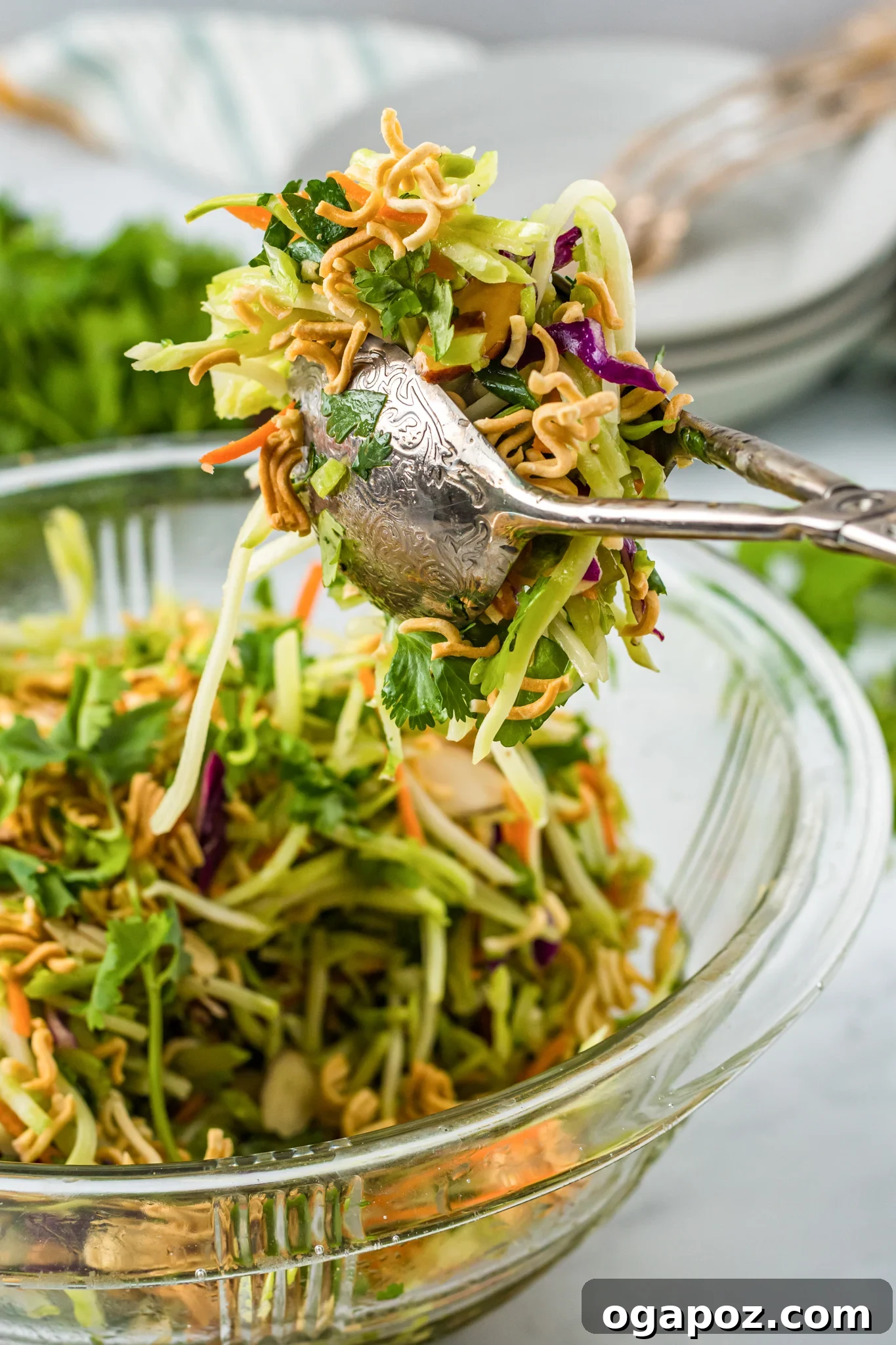 The Ultimate Broccoli Slaw 4 A close-up of broccoli slaw in a large bowl, being tossed with tongs, highlighting the mixed vegetables and vibrant dressing.