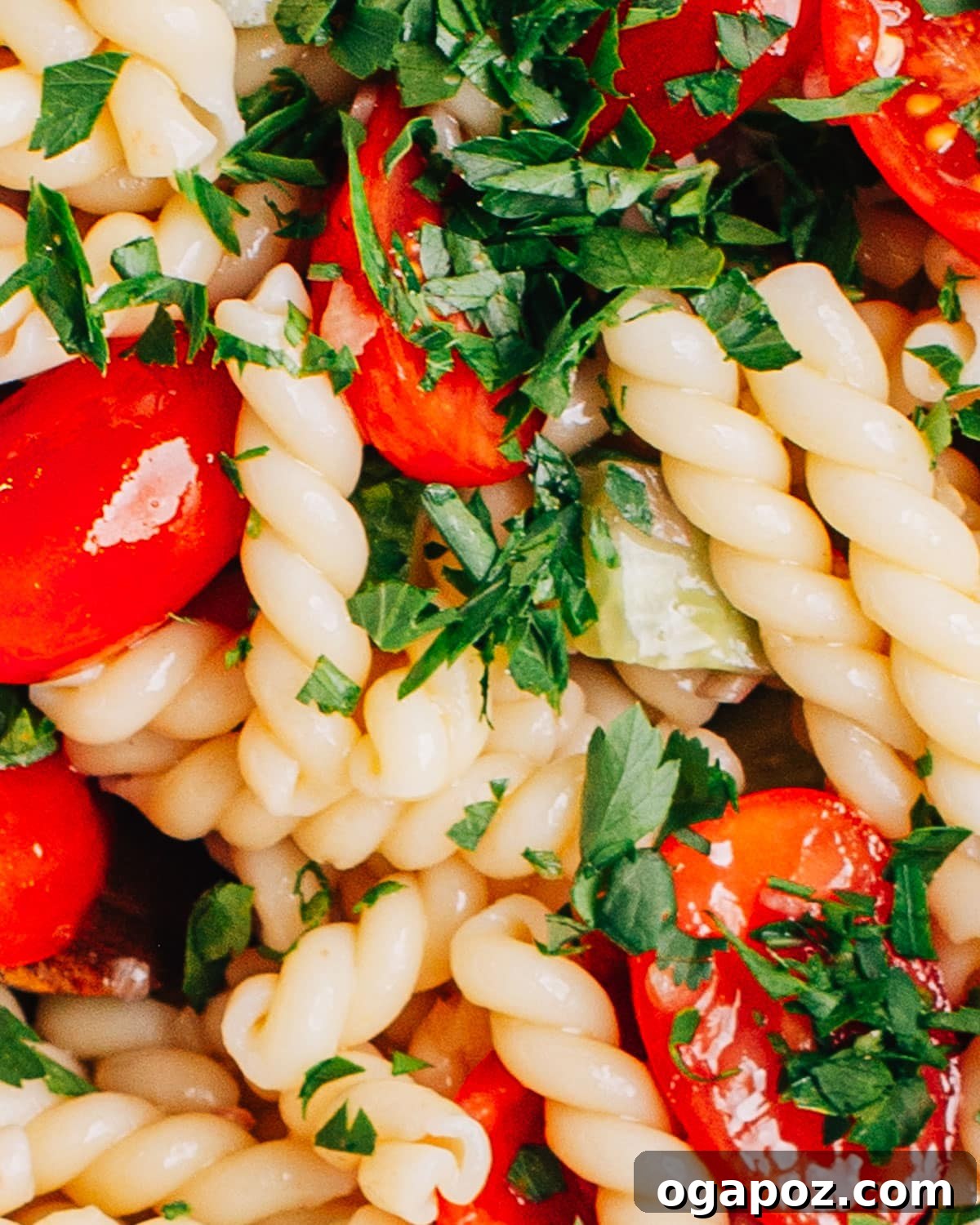 Zesty Italian Pasta Salad 2 A vibrant bowl of Pasta Salad with Italian Dressing, garnished with fresh herbs.