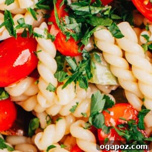 Pasta Salad with Italian Dressing.