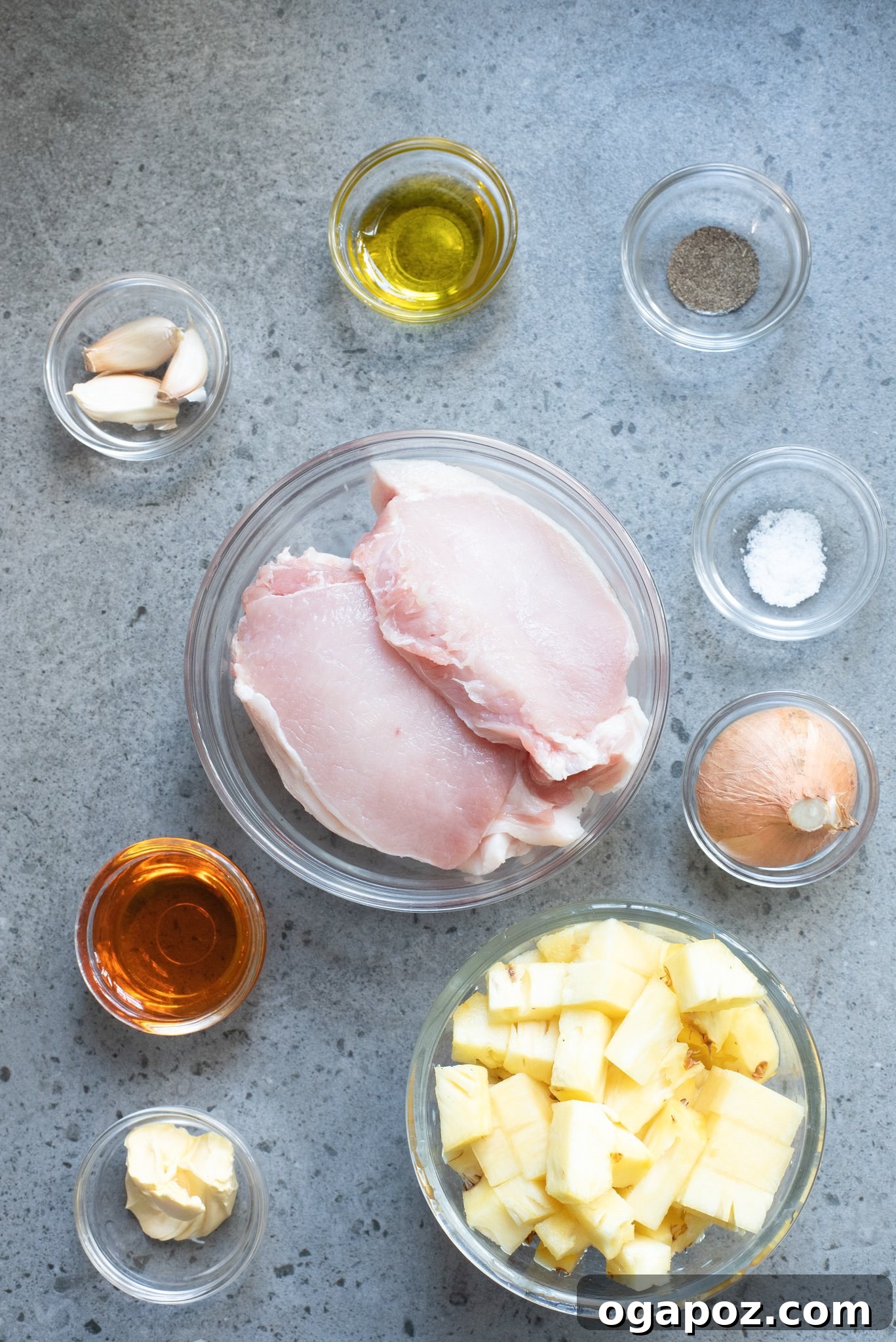 Crispy Parmesan Pork Chops 3 A flat lay image showing all the fresh ingredients needed for easy pineapple pork chops, including fresh pineapple, pork chops, onions, and spices.