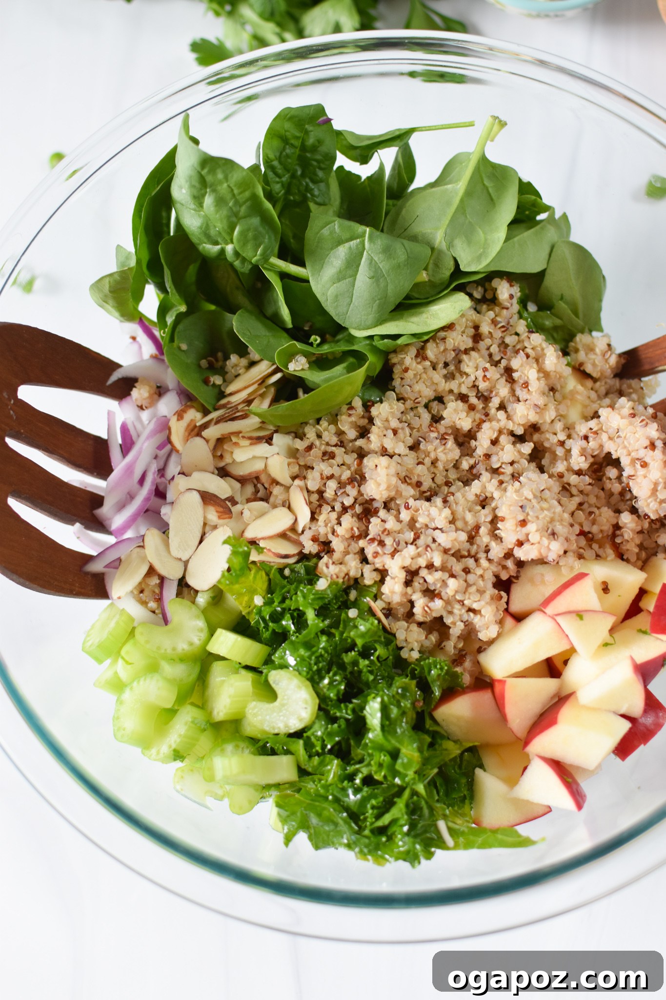 Vibrant Apple Kale Quinoa Medley 6 A mixing bowl filled with the prepped ingredients for Apple Kale Quinoa Salad, including massaged kale, spinach, apples, and red onion, before the dressing is added.