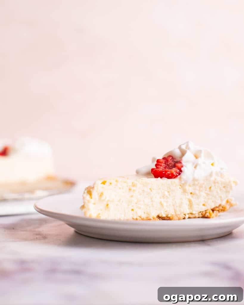 Perfect Homemade Graham Cracker Crust 12 Classic cheesecake with my favorite graham cracker crust recipe.