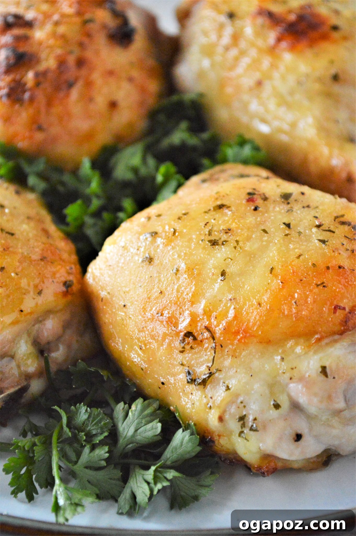 Creamy Ranch Chicken Thighs 2 Oven Baked Ranch Chicken Thighs on a white plate, garnished with fresh herbs, ready to be served.