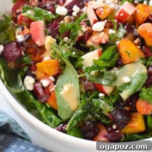 Fall Harvest Salad 1200 x 1200
