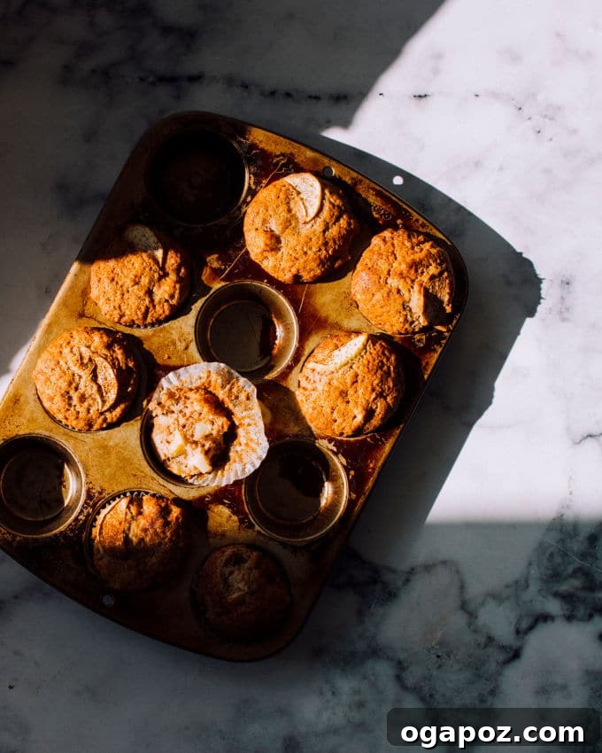 Spiced Apple Cinnamon Muffins 3 Apple Cinnamon Muffins in a 12-cup muffin tin, ready to be baked.
