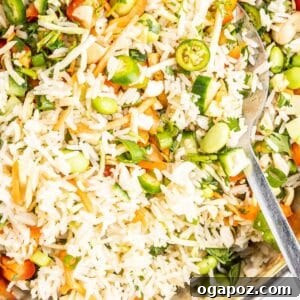 Delicious Coconut Rice Salad dish for the recipe card.