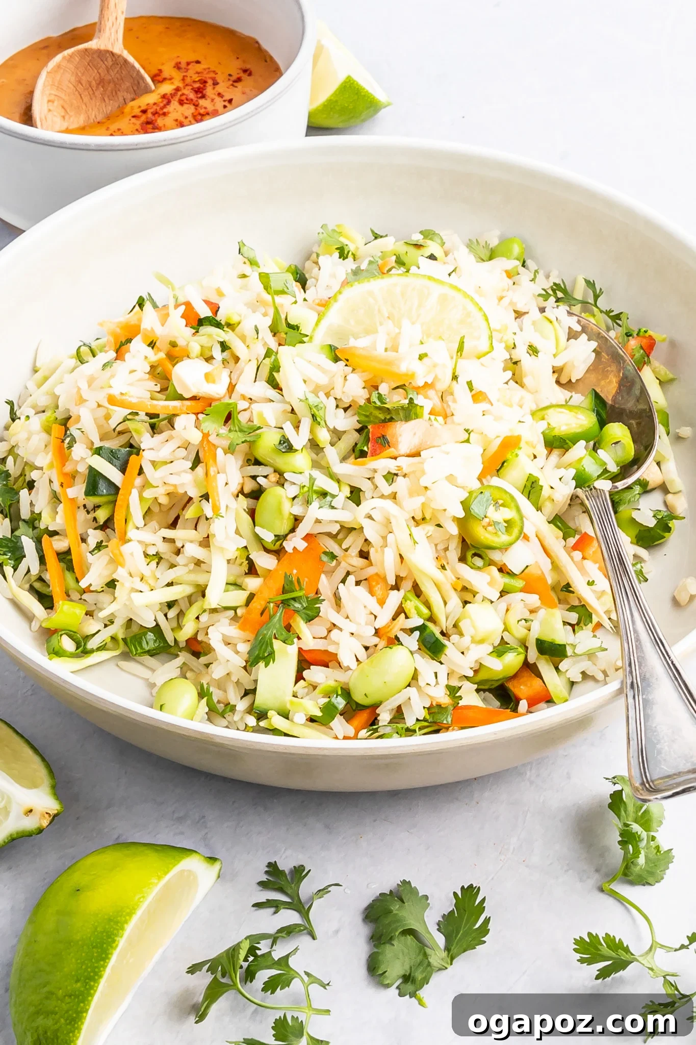 Tropical Coconut Rice Salad 3 Close-up of Coconut Rice Salad in a bowl, highlighting the textures and vibrant colors of the ingredients.