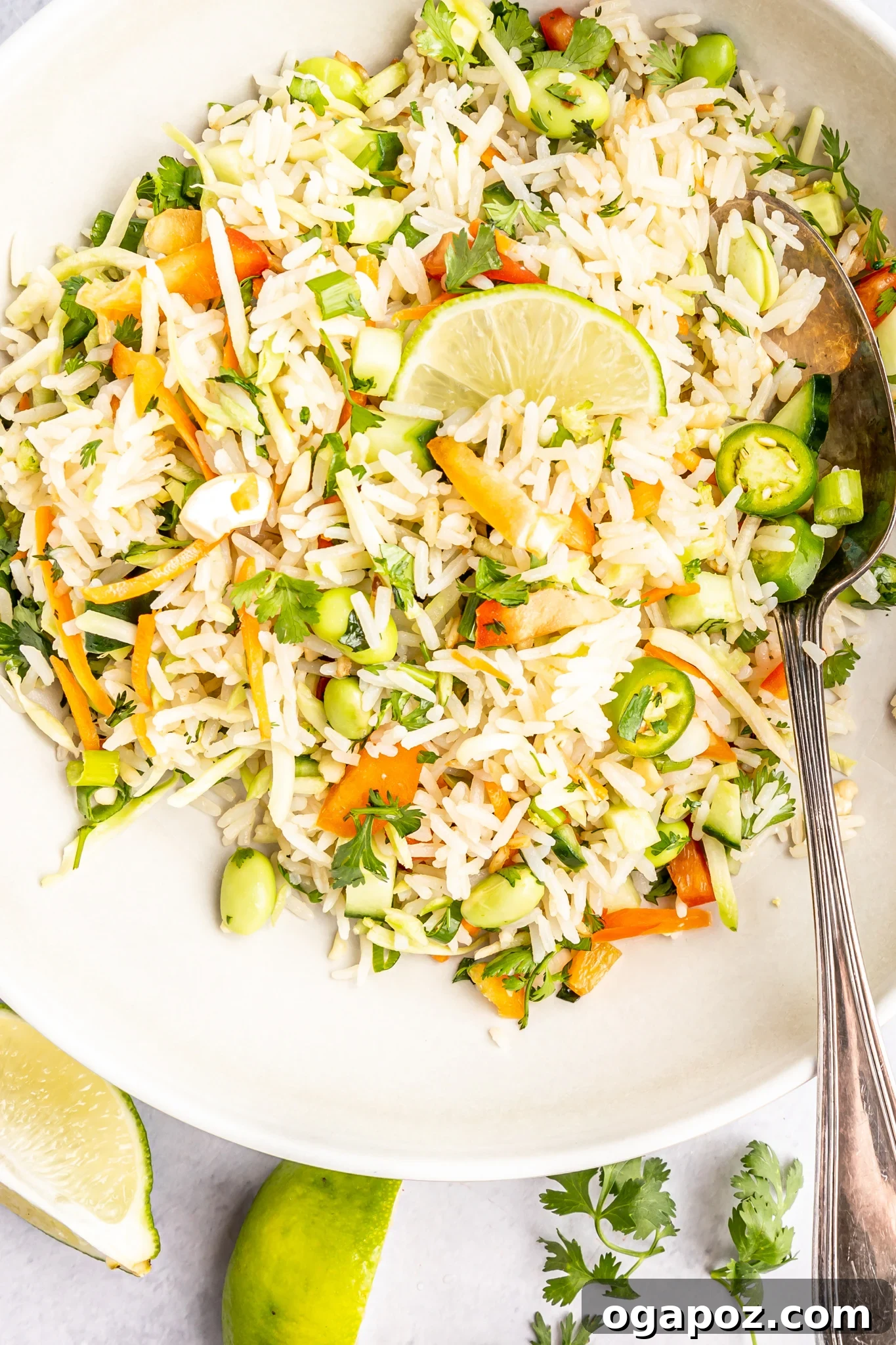 Tropical Coconut Rice Salad 8 A serving of Coconut Rice Salad in a clean white bowl, highlighting its vibrant colors and freshness, ready to be enjoyed.