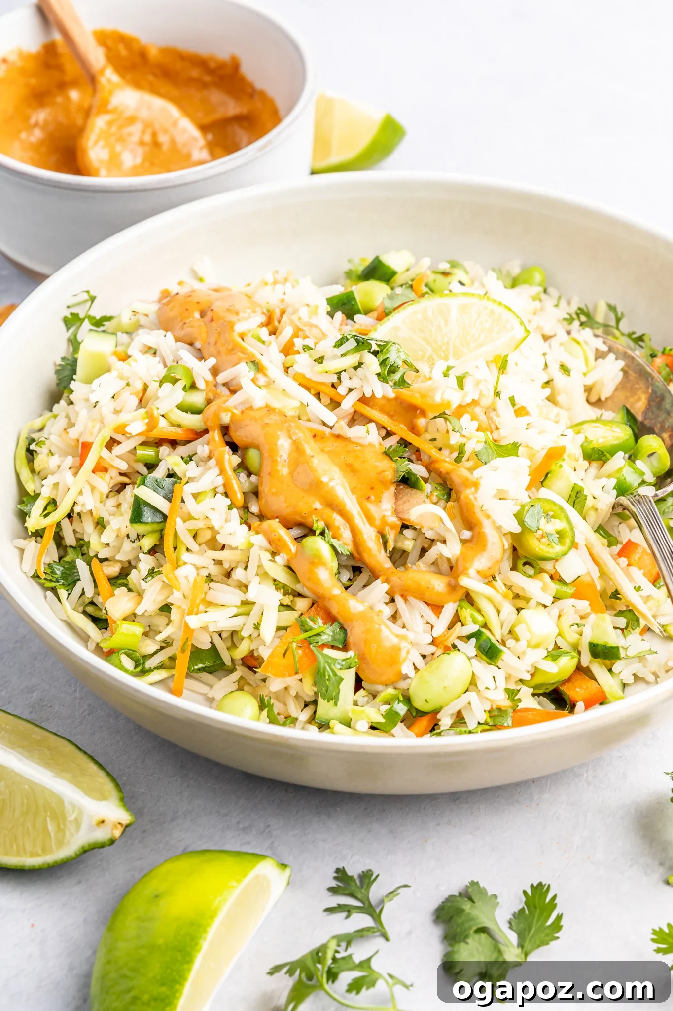 Tropical Coconut Rice Salad 9 Finished Coconut Rice Salad with a drizzle of peanut dressing on top, ready for mixing.