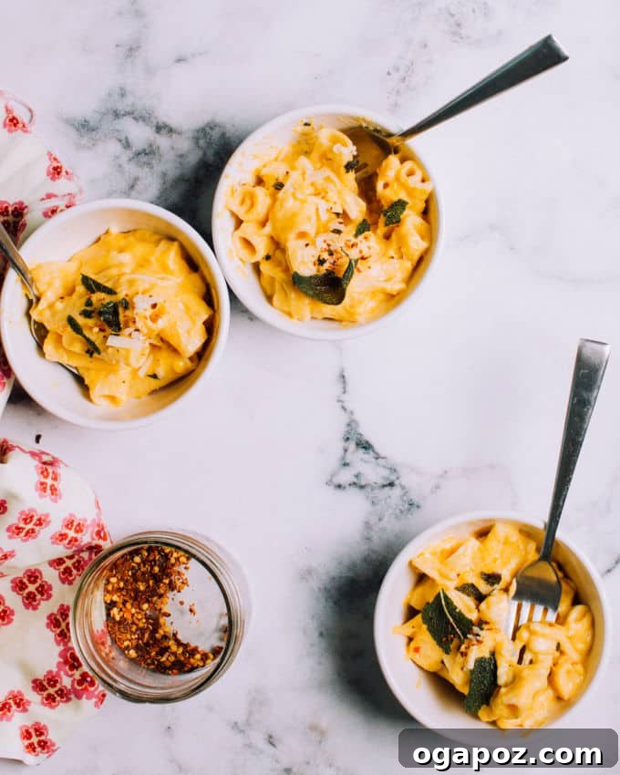 Velvety Pumpkin Pasta with Crispy Sage 2 Two bowls of creamy pumpkin pasta sauce with rigatoni, garnished with fresh sage leaves and a sprinkle of red pepper flakes. A perfect autumn meal.