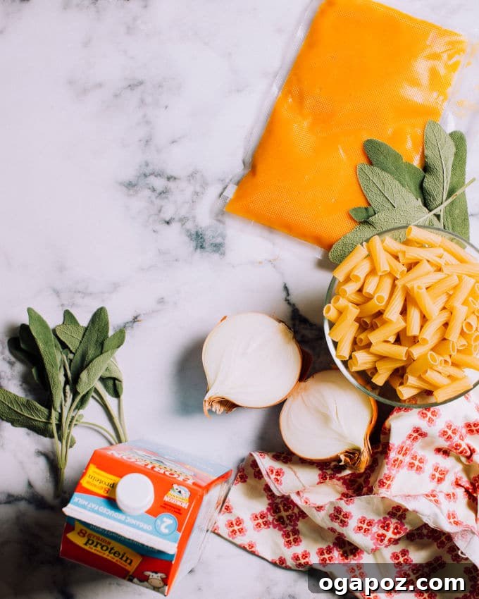 Velvety Pumpkin Pasta with Crispy Sage 3 All the fresh ingredients laid out on a kitchen counter, including pasta, a pumpkin, butter, onion, garlic, milk, Parmesan cheese, and fresh sage leaves, ready for making pumpkin pasta sauce.