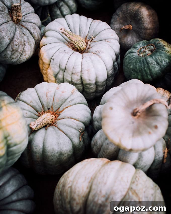 Velvety Pumpkin Pasta with Crispy Sage 4 Various fresh pumpkins and gourds on a wooden surface, ready to be processed into pumpkin puree for cooking and baking.