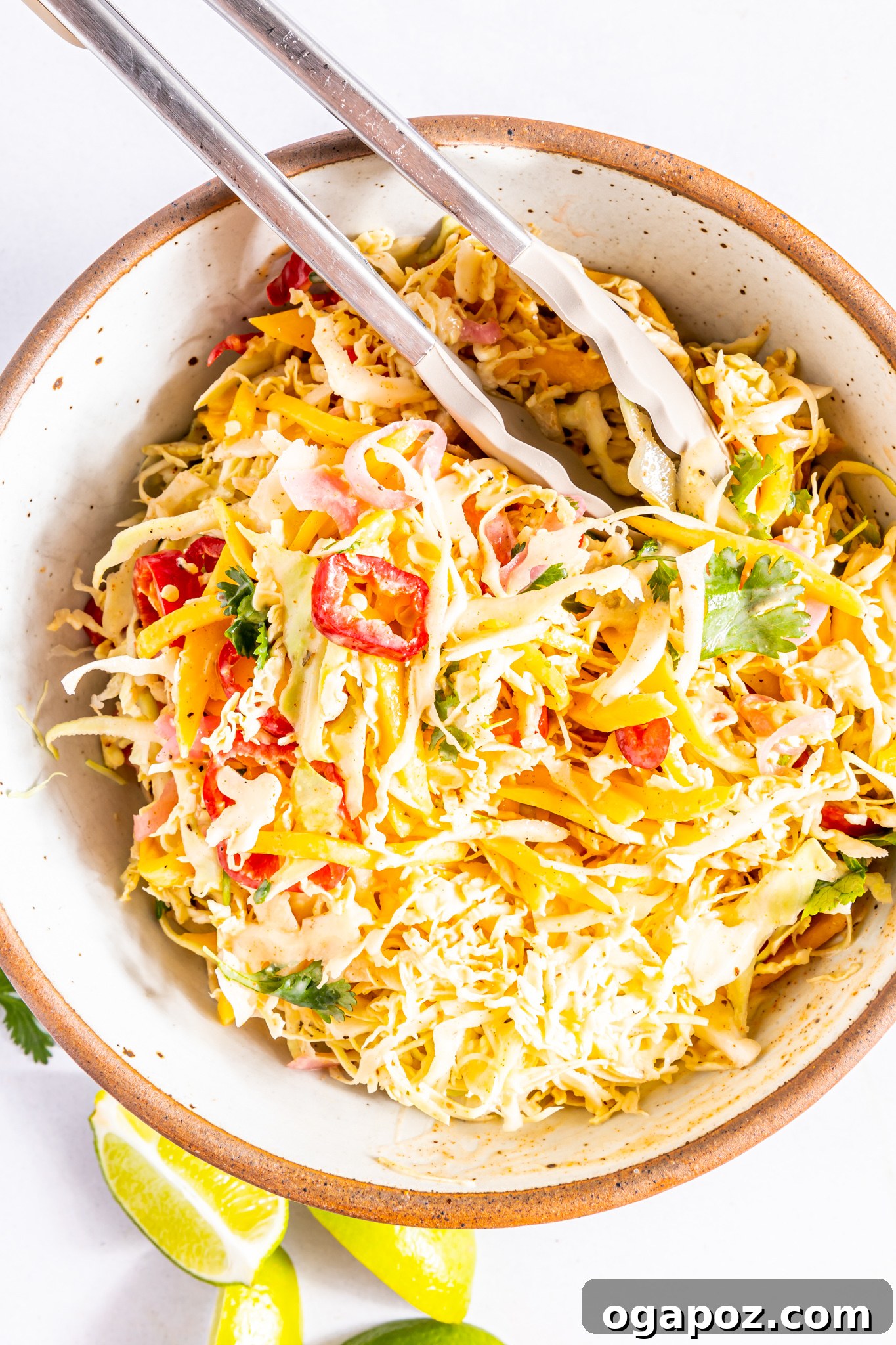Vegan Caribbean Coleslaw ingredients in a mixing bowl before dressing is added.