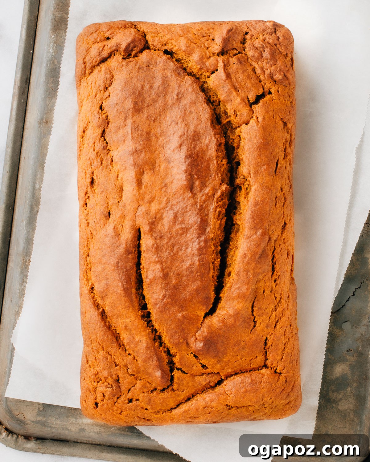 Velvety Soft and Moist Pumpkin Banana Bread 8 Two freshly baked pumpkin banana bread loaves cooling on a wire rack.
