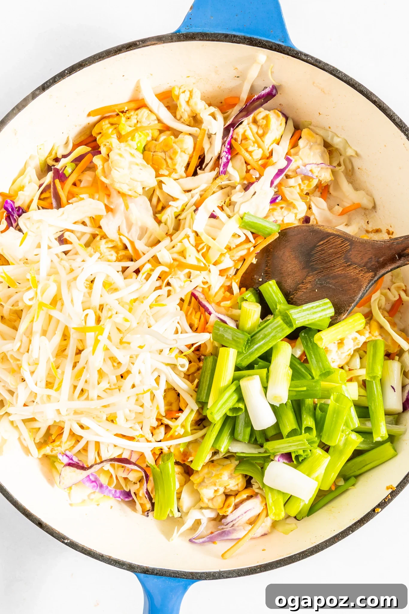 Simple Garden Noodle Stir-fry 6 Easy Vegetable Chow Mein ingredients being mixed in a large pot.