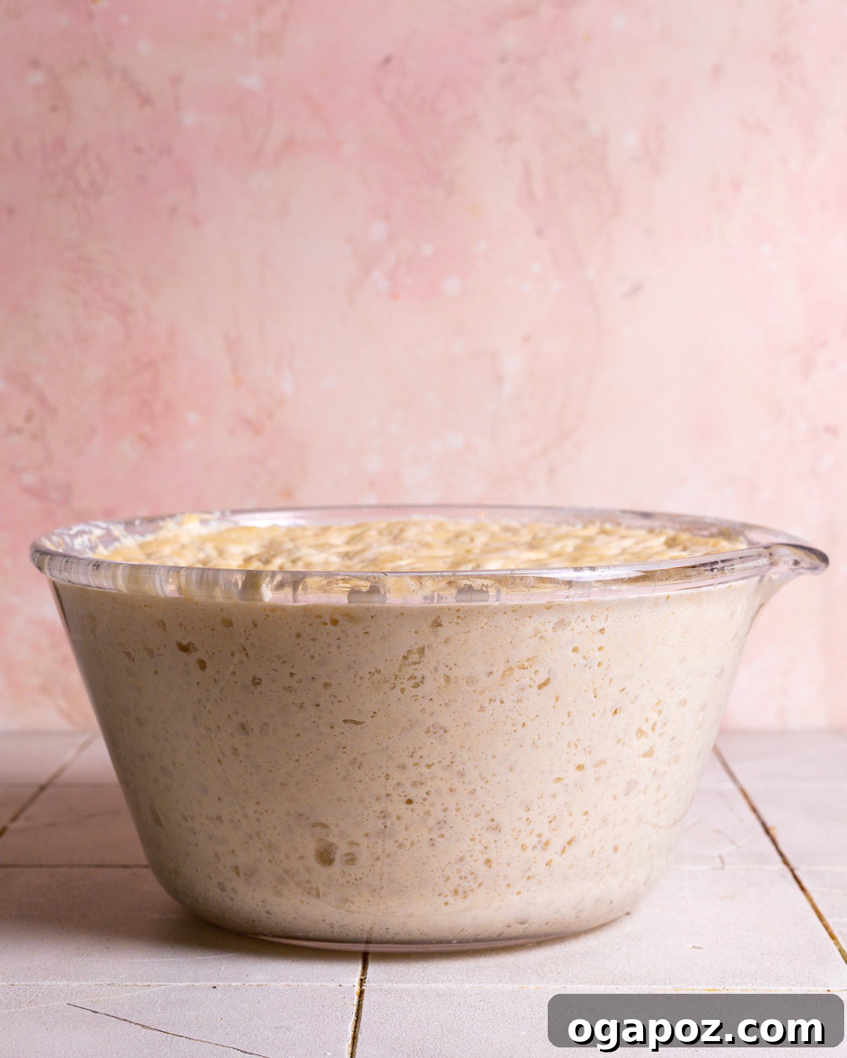 Effortless Dutch Oven Perfection 5 No-knead Dutch oven bread dough rising in a large mixing bowl, covered with plastic wrap, showing its increased volume and bubbly texture.